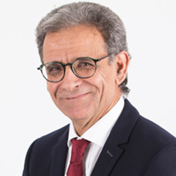 Mahmoud Rouabhia